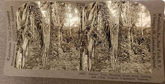 Stereoscopic Photograph, Keystone View Co. The Strong, Rochester, New York.