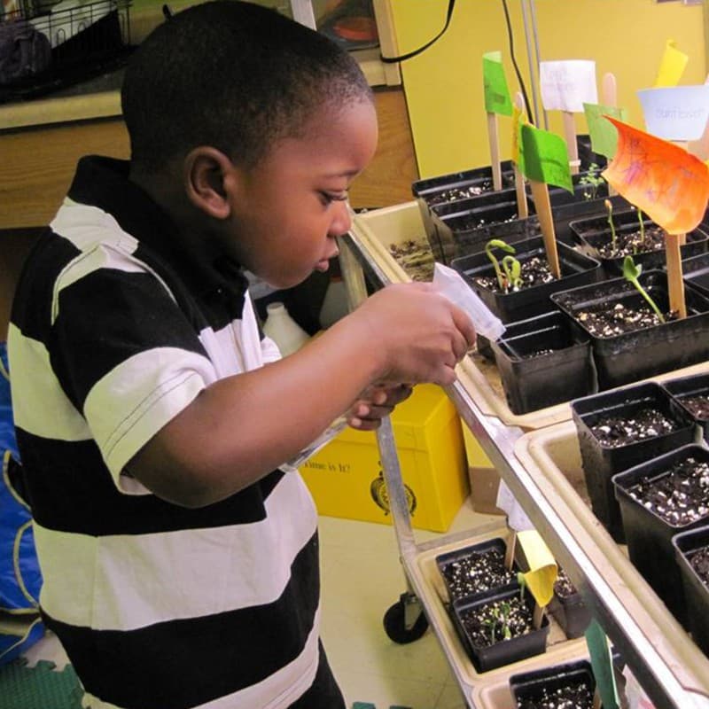 Boy watering plants