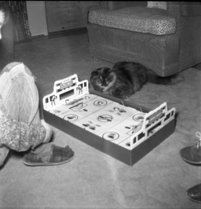 Photograph, Christmas 1961 football game and cat. Gift of Carolyn Reno in memory of Tom and Nan Reno, The Strong, Rochester, New York