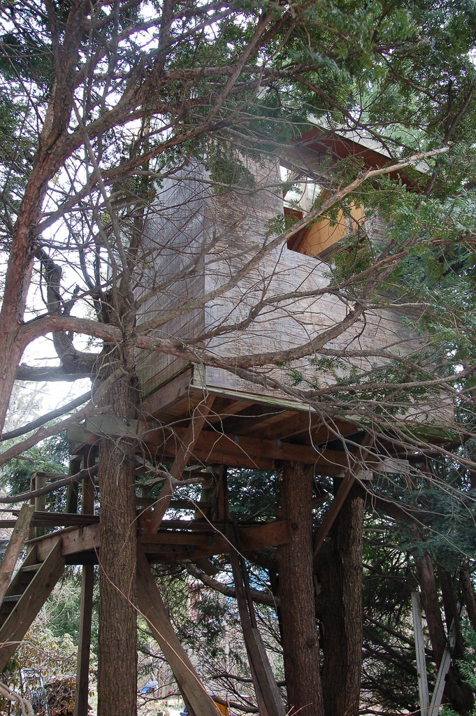 Tree house. Photo courtesy Flickr user Ben Sisto through Creative Commons license 2.0.