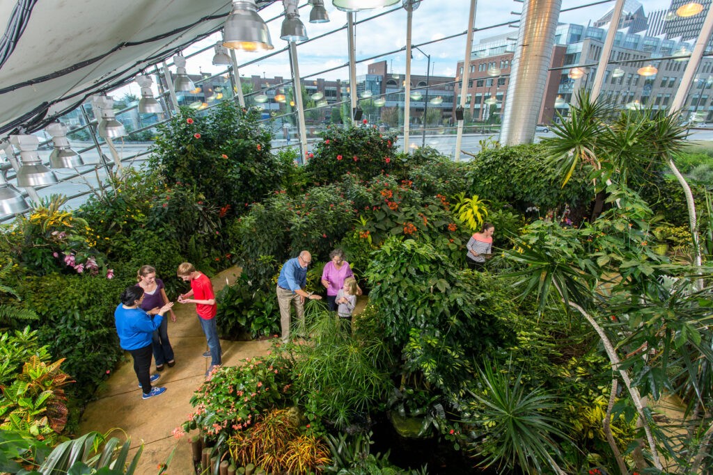 Inside the butterfly garden