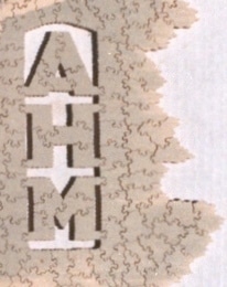 Detail of Par puzzle showing owner’s initials in a drop-out, and a very irregular border. 