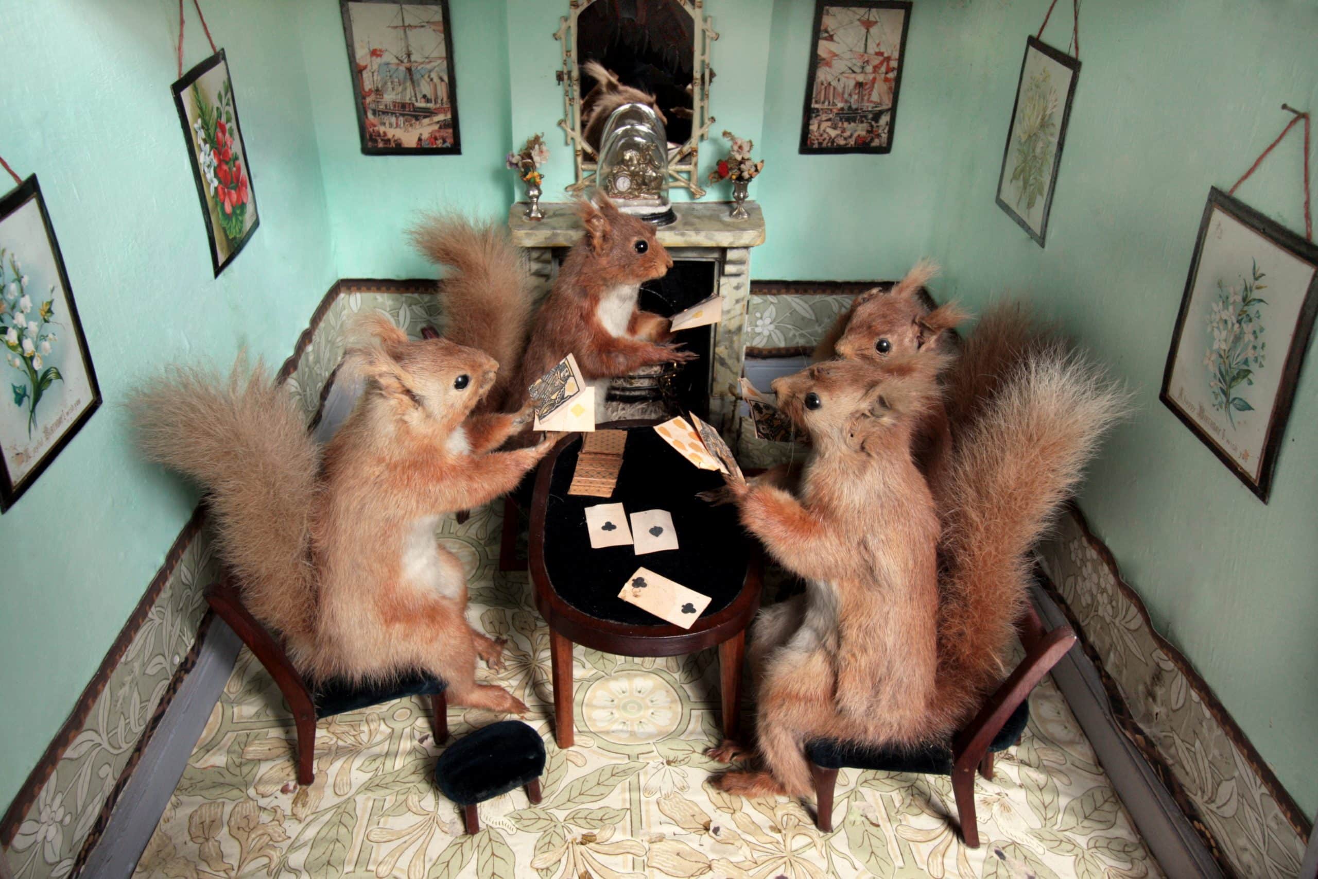 Squirrels playing cards