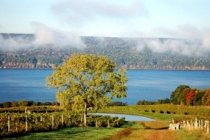 Finger Lakes