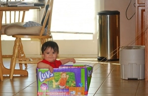 Riding in a repurposed diaper box