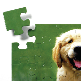 Jigsaw Puzzle