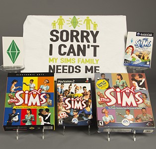 The Sims artifacts