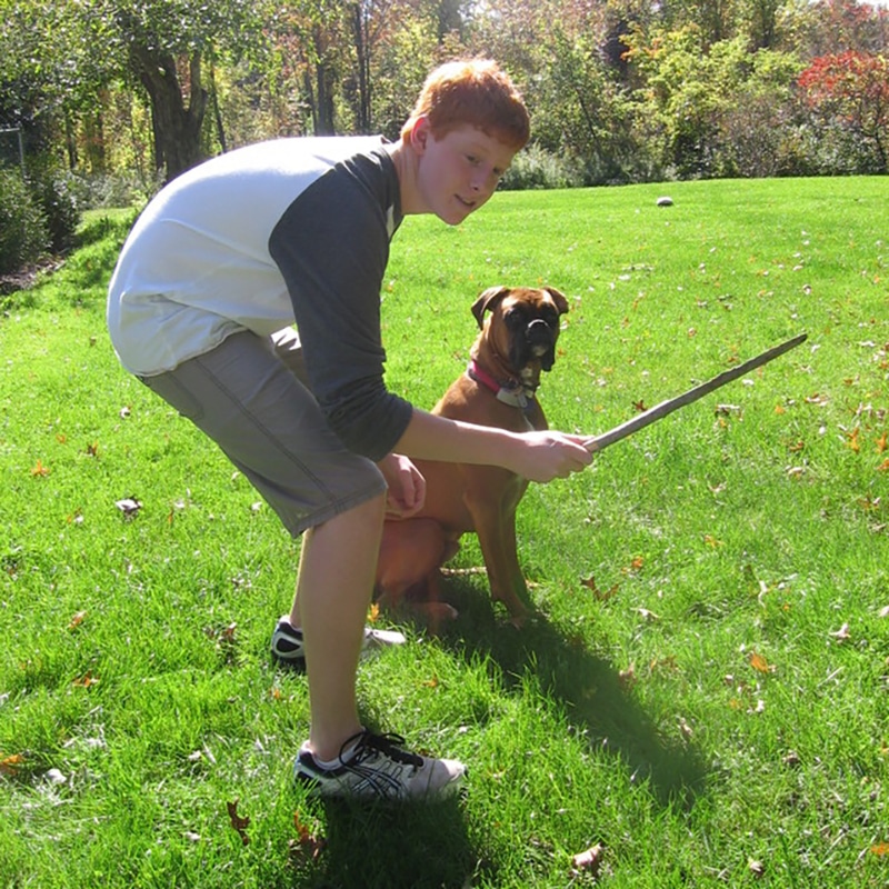 Stick