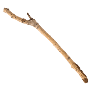 The Stick