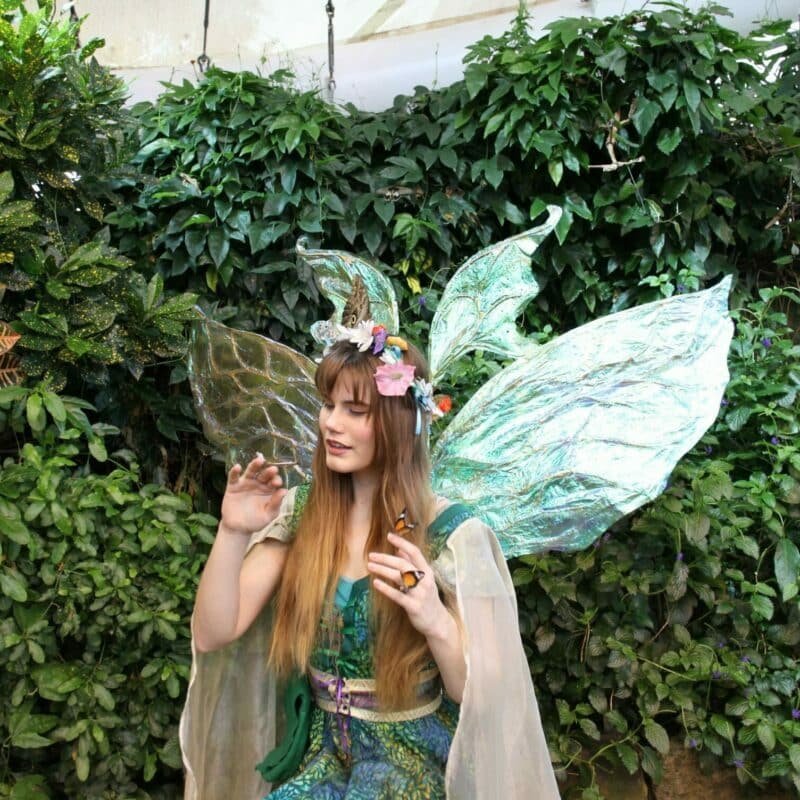 Fairy in Butterfly Garden