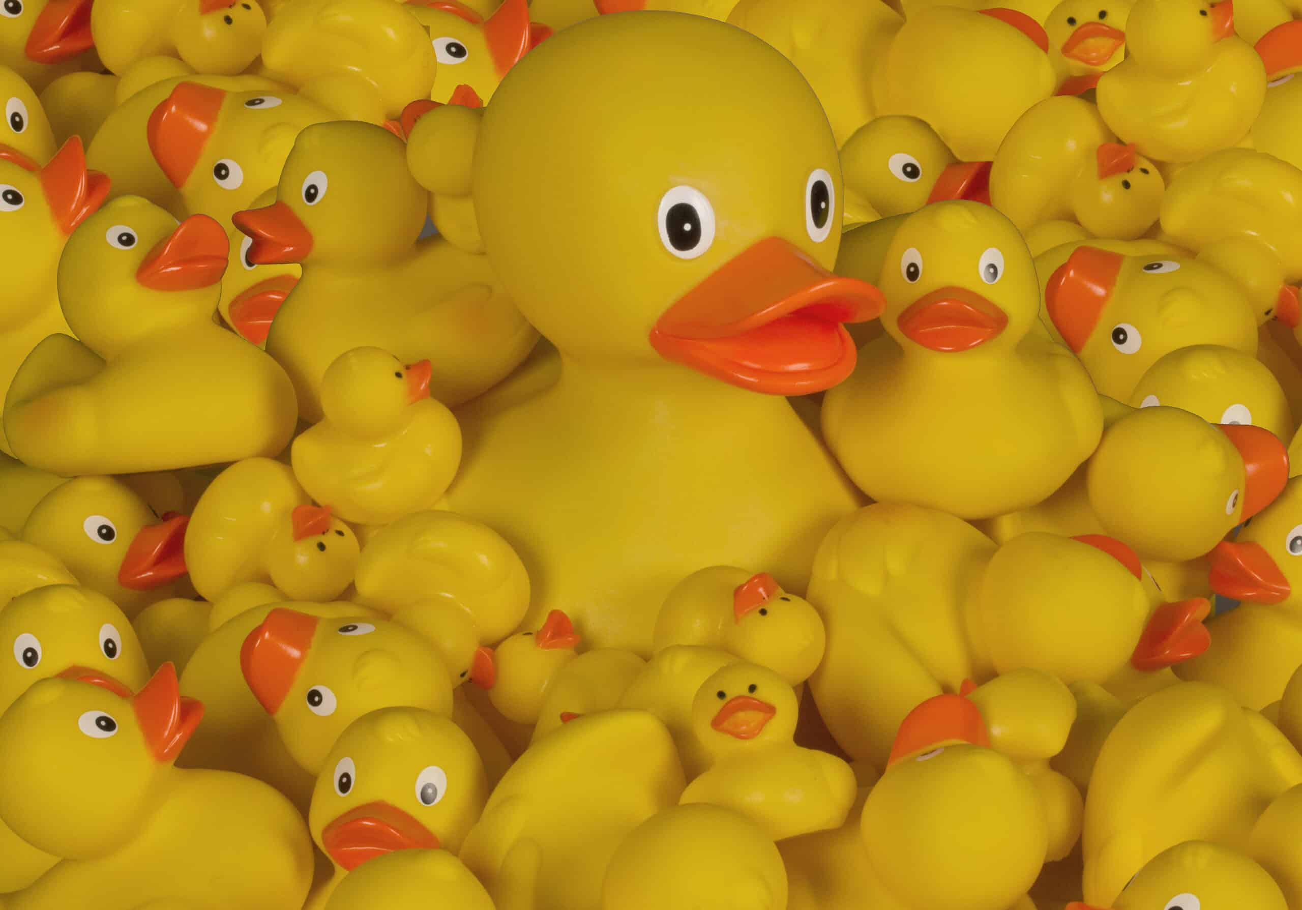 Pile of rubber ducks