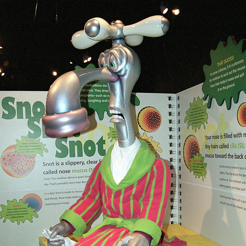 Grossology: The (Impolite) Science of the Human Body