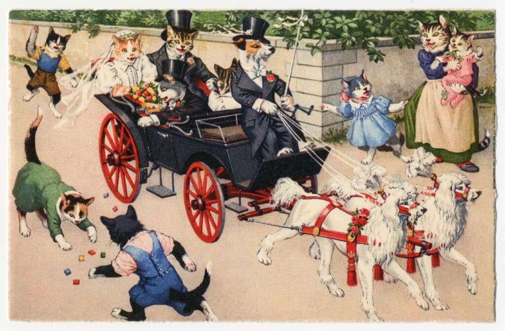 Mainzer Dressed Cat Postcards, 1940-1960, gift of Richard LeRoy in memory of Ruth Hanford Munn, The Strong, Rochester, New York