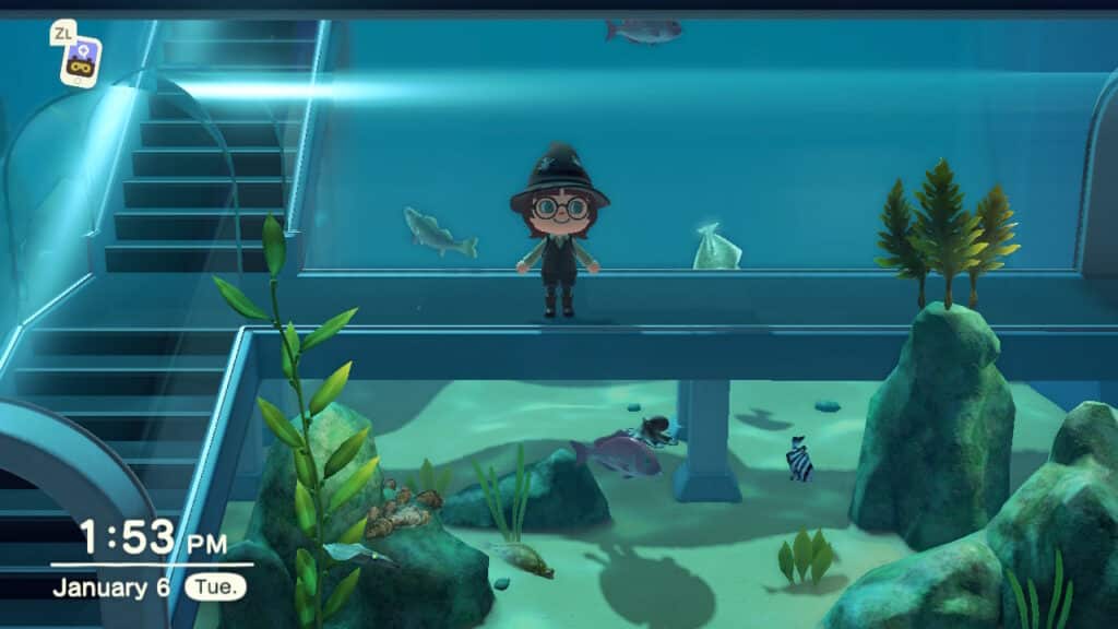 Saltwater fish tanks. Screen capture of Animal Crossing: New Horizons, 2020 (captured 2026), courtesy of the author.
