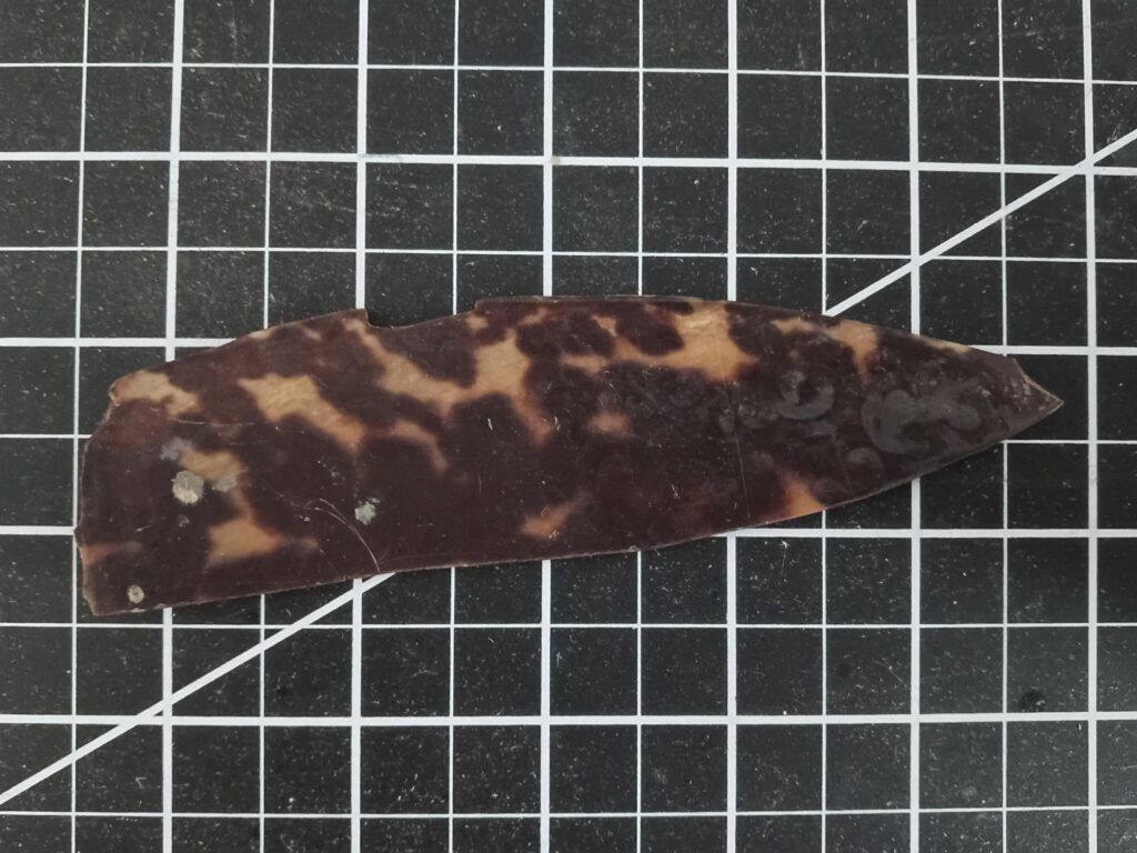 Custom tortoiseshell scraper