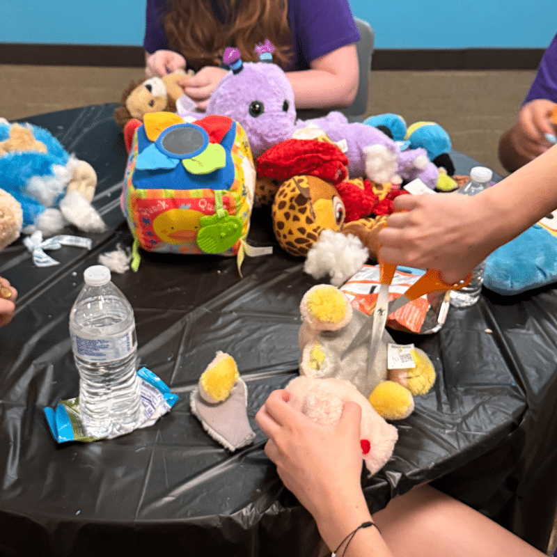 Nazareth students deconstructing stuffed animals