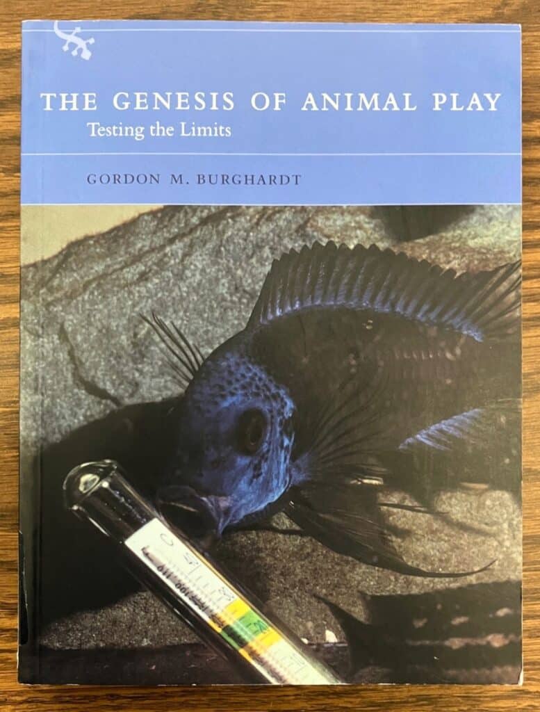 Burghardt’s 2005 book, The Genesis of Animal Play: Testing the Limits, in which the stories of Kraken and the alligator are discussed. The Strong National Museum of Play, Rochester, New York.